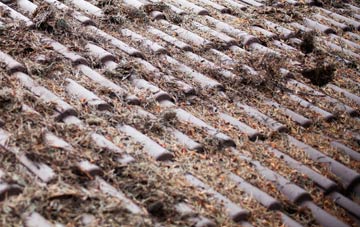 Carters Hill roof cleaning companies